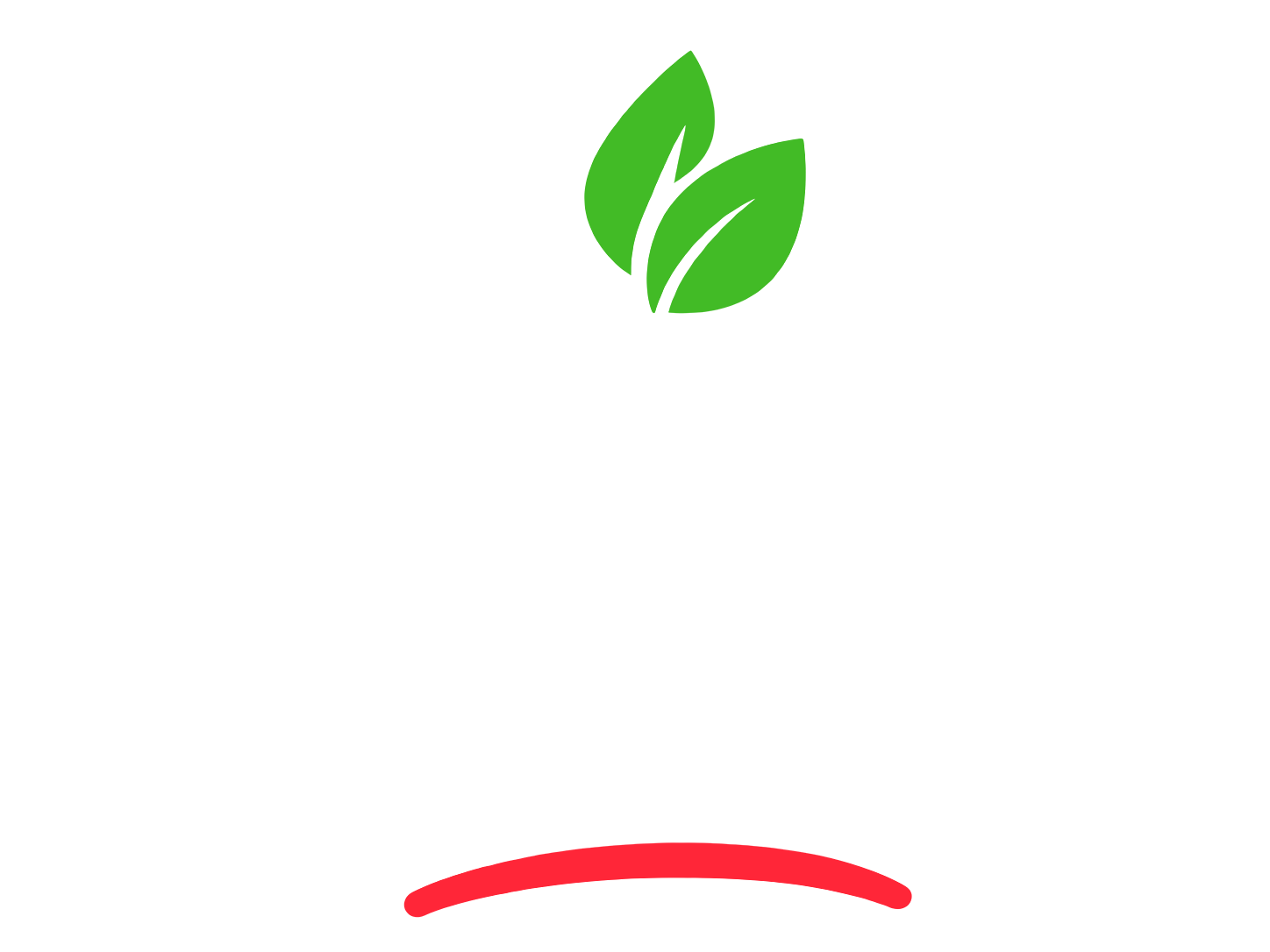 Abi’s Cocktails & Co.